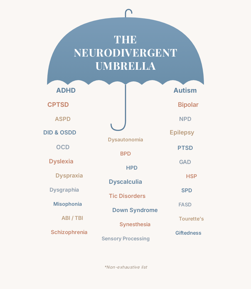 The Neurodivergent Umbrella infographic showing conditions like ADHD, Autism, CPTSD, Bipolar, OCD, Dyslexia, and more